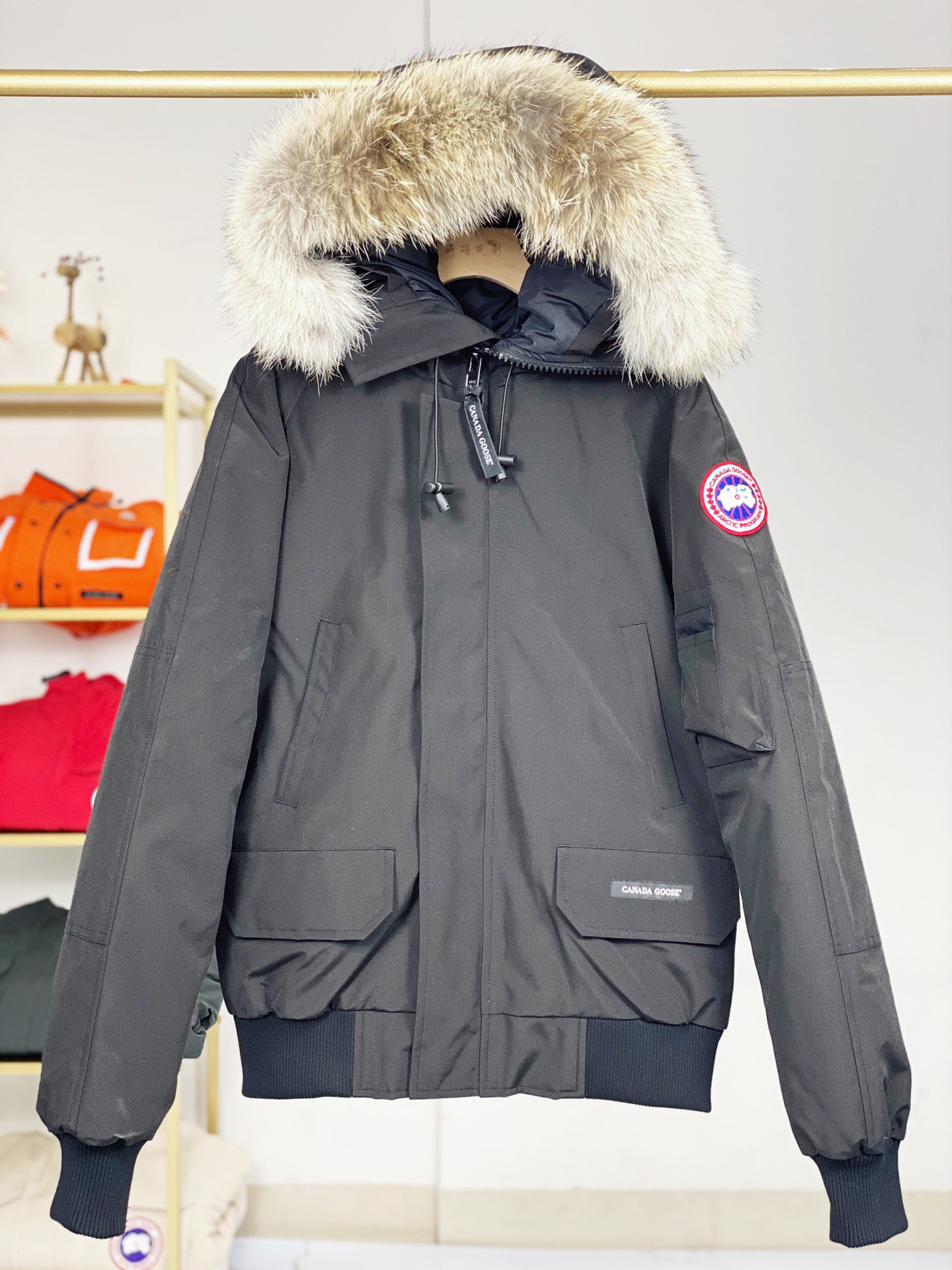 Canada Goose Chilliwack Bomber (3 colors)